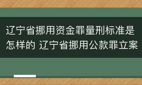 辽宁省挪用资金罪量刑标准是怎样的 辽宁省挪用公款罪立案标准