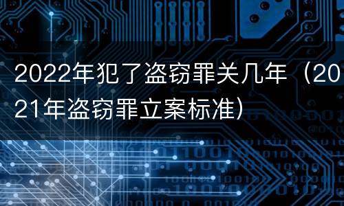 2022年犯了盗窃罪关几年（2021年盗窃罪立案标准）