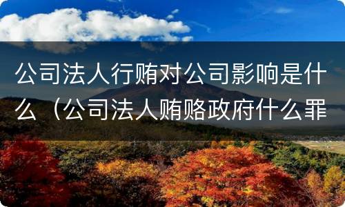 公司法人行贿对公司影响是什么（公司法人贿赂政府什么罪）