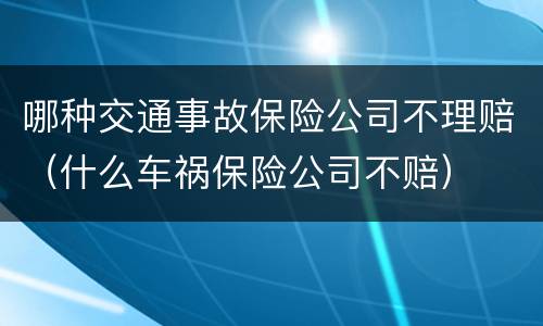 哪种交通事故保险公司不理赔（什么车祸保险公司不赔）