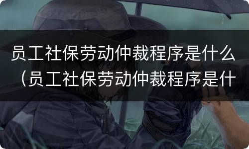 员工社保劳动仲裁程序是什么（员工社保劳动仲裁程序是什么意思）