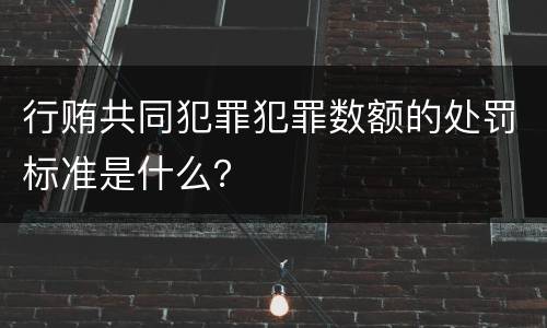 行贿共同犯罪犯罪数额的处罚标准是什么？