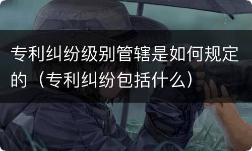 专利纠纷级别管辖是如何规定的（专利纠纷包括什么）