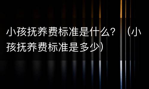 小孩抚养费标准是什么？（小孩抚养费标准是多少）