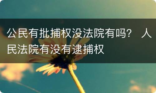 公民有批捕权没法院有吗？ 人民法院有没有逮捕权