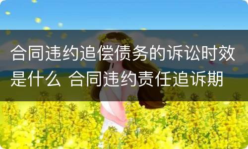 合同违约追偿债务的诉讼时效是什么 合同违约责任追诉期