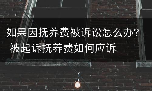 如果因抚养费被诉讼怎么办？ 被起诉抚养费如何应诉