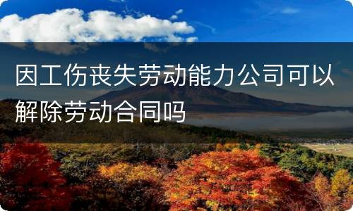 因工伤丧失劳动能力公司可以解除劳动合同吗