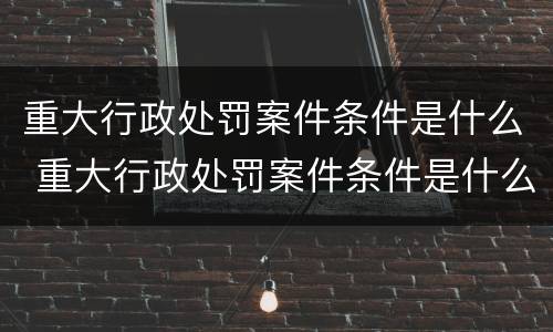 重大行政处罚案件条件是什么 重大行政处罚案件条件是什么意思