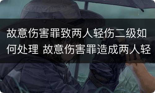 故意伤害罪致两人轻伤二级如何处理 故意伤害罪造成两人轻伤