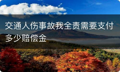 交通人伤事故我全责需要支付多少赔偿金