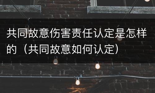 共同故意伤害责任认定是怎样的（共同故意如何认定）