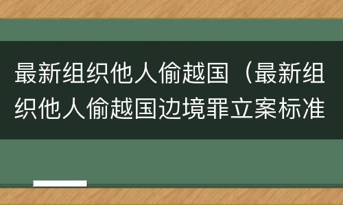 最新组织他人偷越国（最新组织他人偷越国边境罪立案标准）