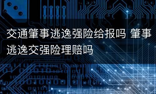 交通肇事逃逸强险给报吗 肇事逃逸交强险理赔吗