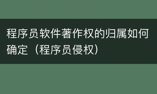 程序员软件著作权的归属如何确定（程序员侵权）