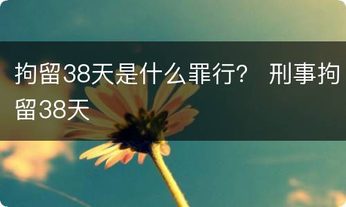 拘留38天是什么罪行？ 刑事拘留38天