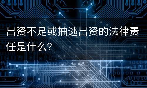 出资不足或抽逃出资的法律责任是什么？