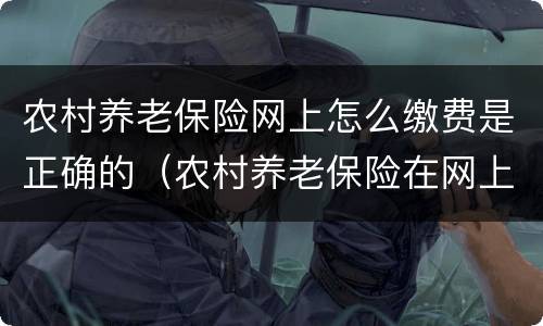 农村养老保险网上怎么缴费是正确的（农村养老保险在网上怎么缴费）