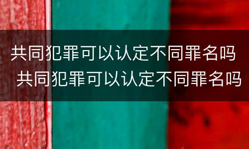 共同犯罪可以认定不同罪名吗 共同犯罪可以认定不同罪名吗怎么判