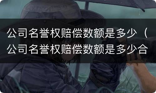 公司名誉权赔偿数额是多少（公司名誉权赔偿数额是多少合适）