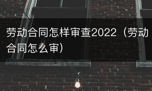 劳动合同怎样审查2022（劳动合同怎么审）