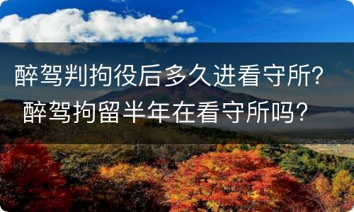 醉驾判拘役后多久进看守所？ 醉驾拘留半年在看守所吗?