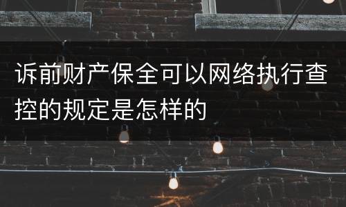 诉前财产保全可以网络执行查控的规定是怎样的