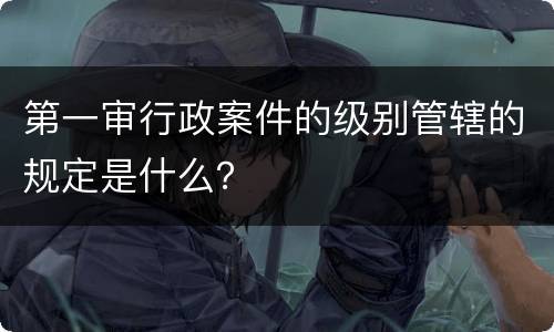 第一审行政案件的级别管辖的规定是什么？