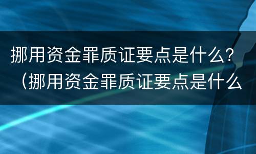 挪用资金罪质证要点是什么？（挪用资金罪质证要点是什么内容）