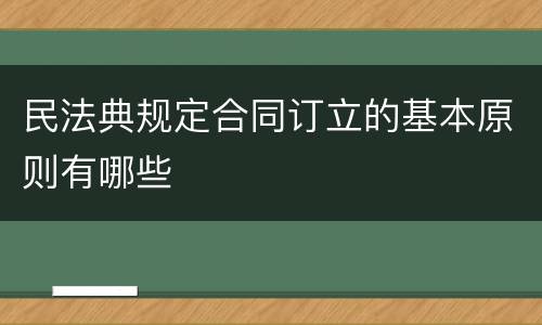 民法典规定合同订立的基本原则有哪些