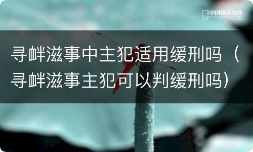 寻衅滋事中主犯适用缓刑吗（寻衅滋事主犯可以判缓刑吗）