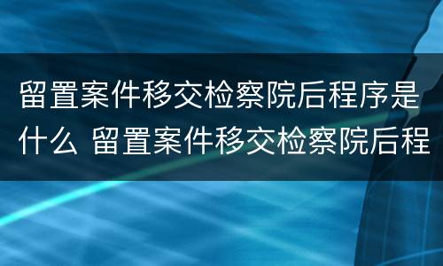 留置案件移交检察院后程序是什么 留置案件移交检察院后程序是什么样的