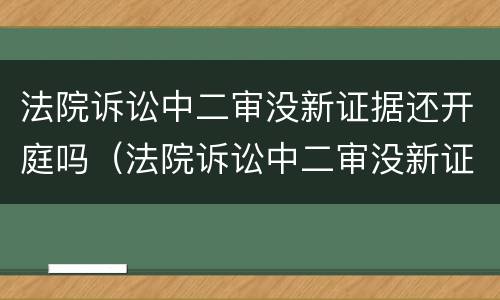 法院诉讼中二审没新证据还开庭吗（法院诉讼中二审没新证据还开庭吗为什么）