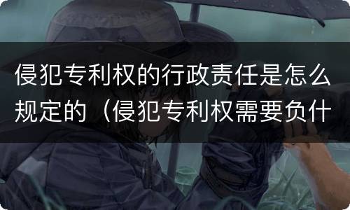 侵犯专利权的行政责任是怎么规定的（侵犯专利权需要负什么责任）