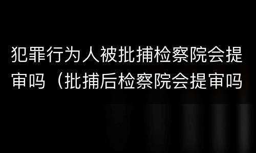 犯罪行为人被批捕检察院会提审吗（批捕后检察院会提审吗）