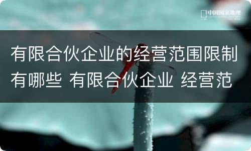 有限合伙企业的经营范围限制有哪些 有限合伙企业 经营范围