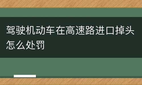 驾驶机动车在高速路进口掉头怎么处罚