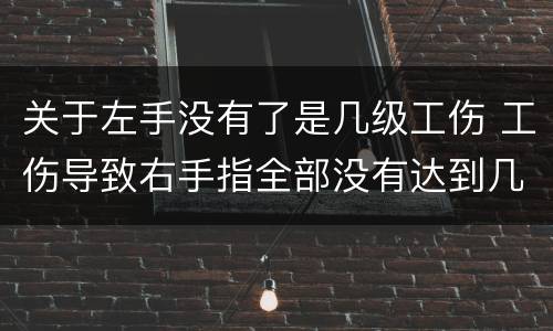 关于左手没有了是几级工伤 工伤导致右手指全部没有达到几级