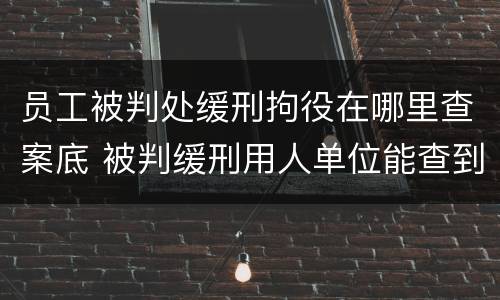 员工被判处缓刑拘役在哪里查案底 被判缓刑用人单位能查到吗