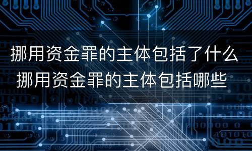 挪用资金罪的主体包括了什么 挪用资金罪的主体包括哪些