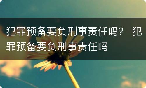 犯罪预备要负刑事责任吗？ 犯罪预备要负刑事责任吗