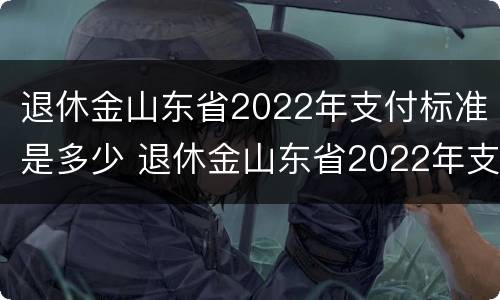 退休金山东省2022年支付标准是多少 退休金山东省2022年支付标准是多少呢