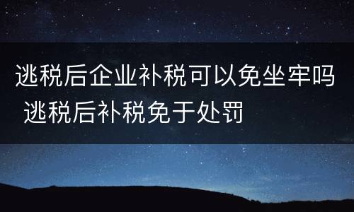 逃税后企业补税可以免坐牢吗 逃税后补税免于处罚