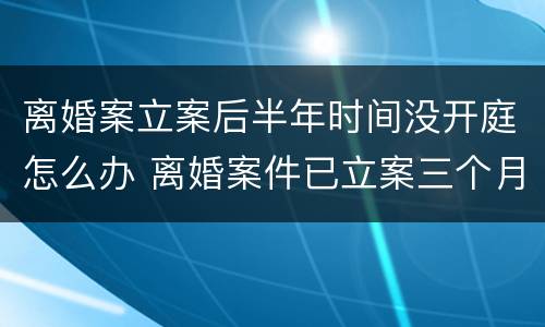 离婚案立案后半年时间没开庭怎么办 离婚案件已立案三个月了,还没开庭如何处理