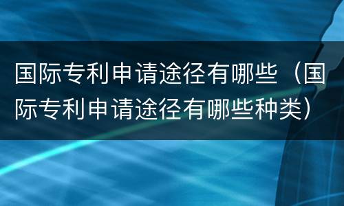 国际专利申请途径有哪些（国际专利申请途径有哪些种类）