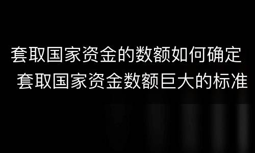 套取国家资金的数额如何确定 套取国家资金数额巨大的标准