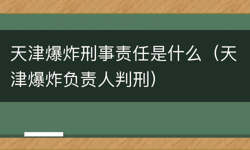 天津爆炸刑事责任是什么（天津爆炸负责人判刑）