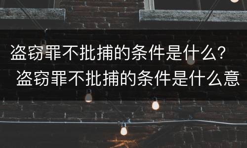 盗窃罪不批捕的条件是什么？ 盗窃罪不批捕的条件是什么意思