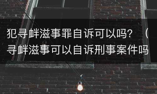 犯寻衅滋事罪自诉可以吗？（寻衅滋事可以自诉刑事案件吗）