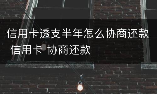 信用卡透支半年怎么协商还款 信用卡 协商还款